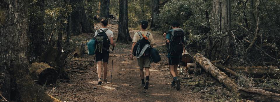dónde comprar mochila camino de santiago